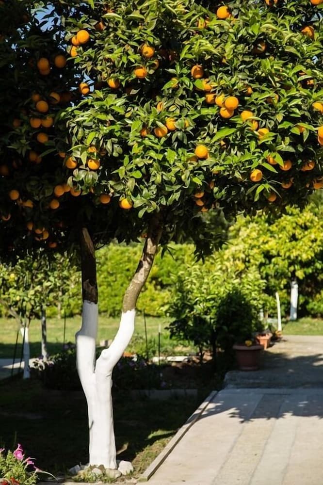 

Napoli - Karousádes - Paradise Village