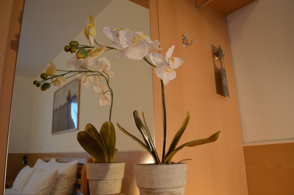 

Verona - Vienna - Hotel Donaustadt Kagran