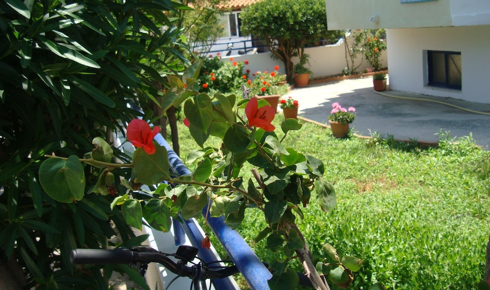 

Roma - Kardamena - Philippos Studios & Apartments