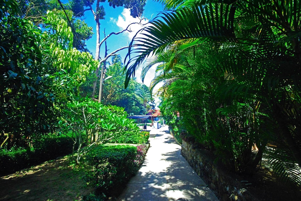 

Roma - Tioman - Tioman Dive Resort