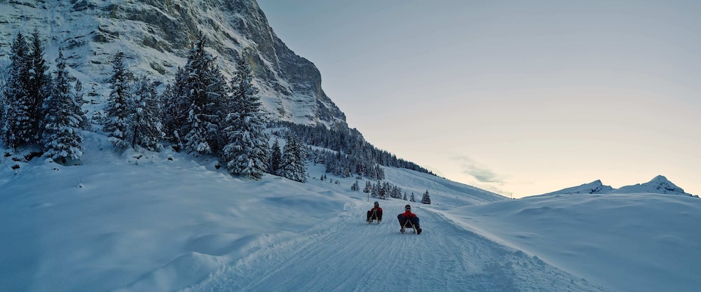 

Bologna - Grindelwald - Hotel Schönegg