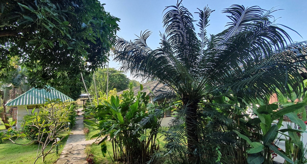 

Torino - Lamai Beach - Green Canyon Resort