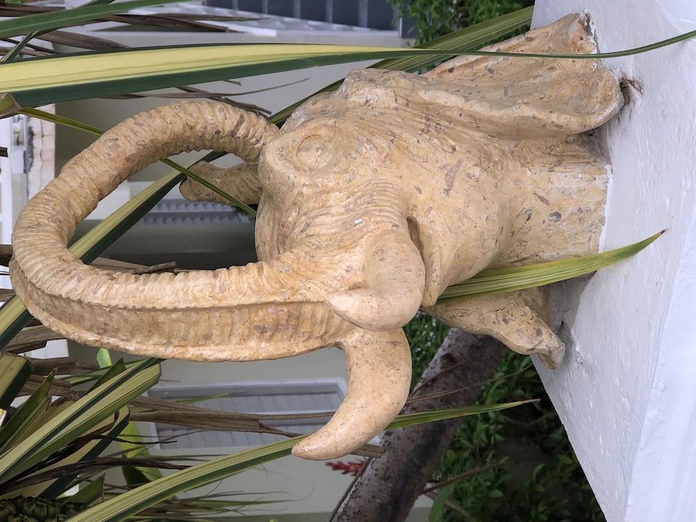 

Napoli - Negril - Gold Nugget Hotel