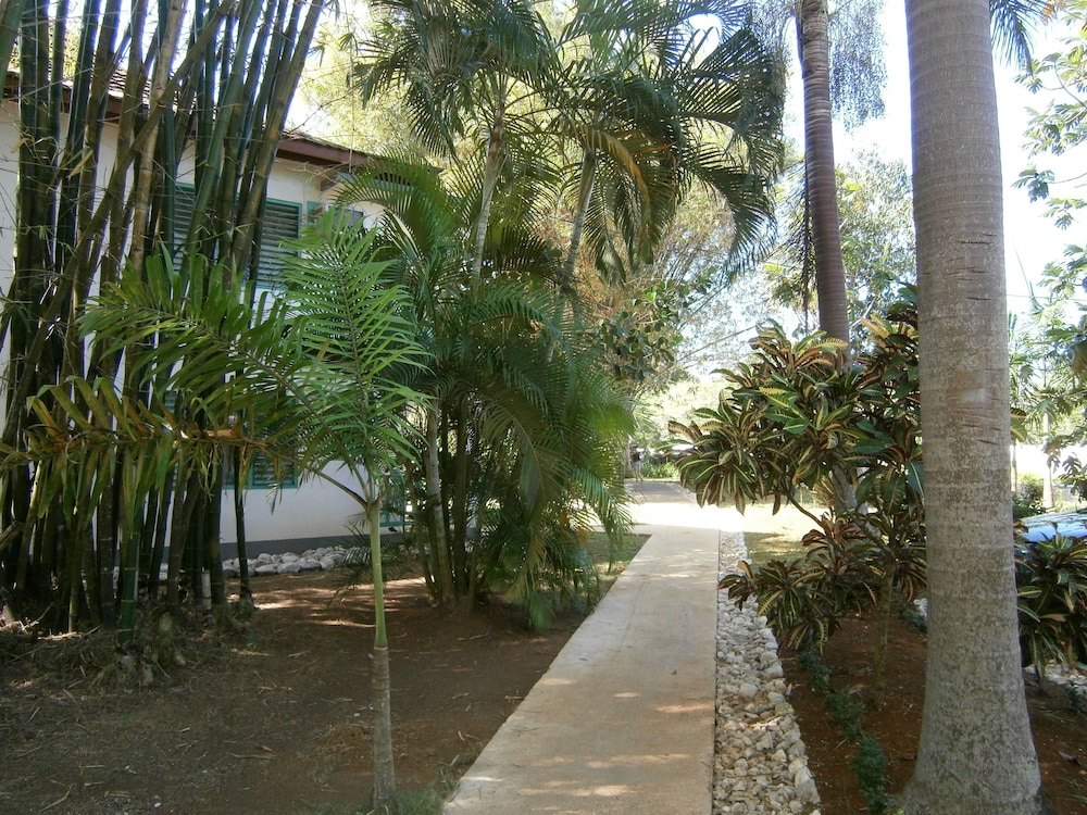 

Venezia - Negril - Gold Nugget Hotel