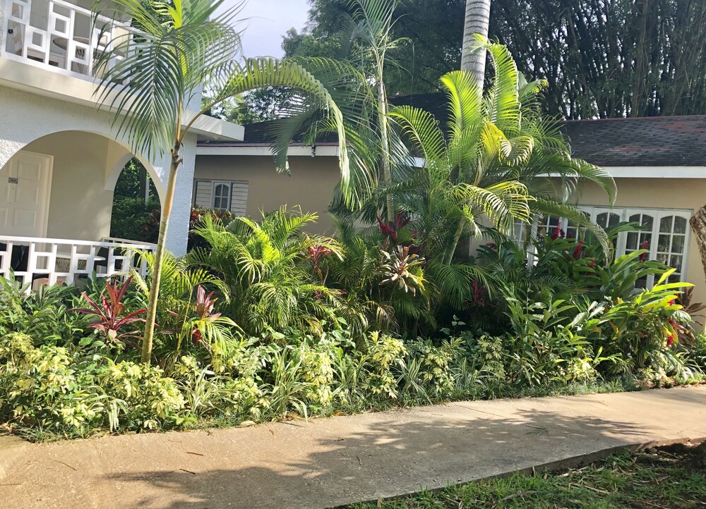 

Napoli - Negril - Gold Nugget Hotel