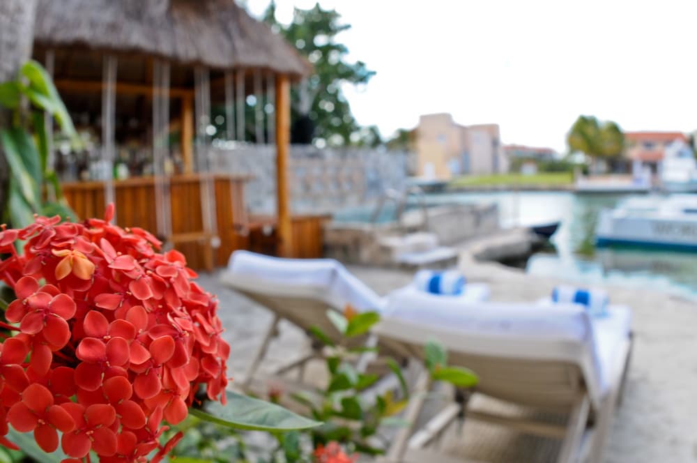 

Roma - Akumal - Chez Waffle Hotel