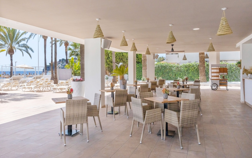 

Pisa - Santa Ponsa - Sol House The Studio - Calviá Beach - Adults Only