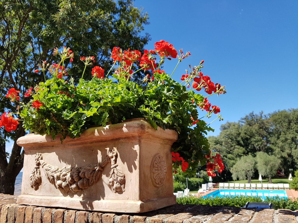 

Roma - Volterra - Villa Nencini