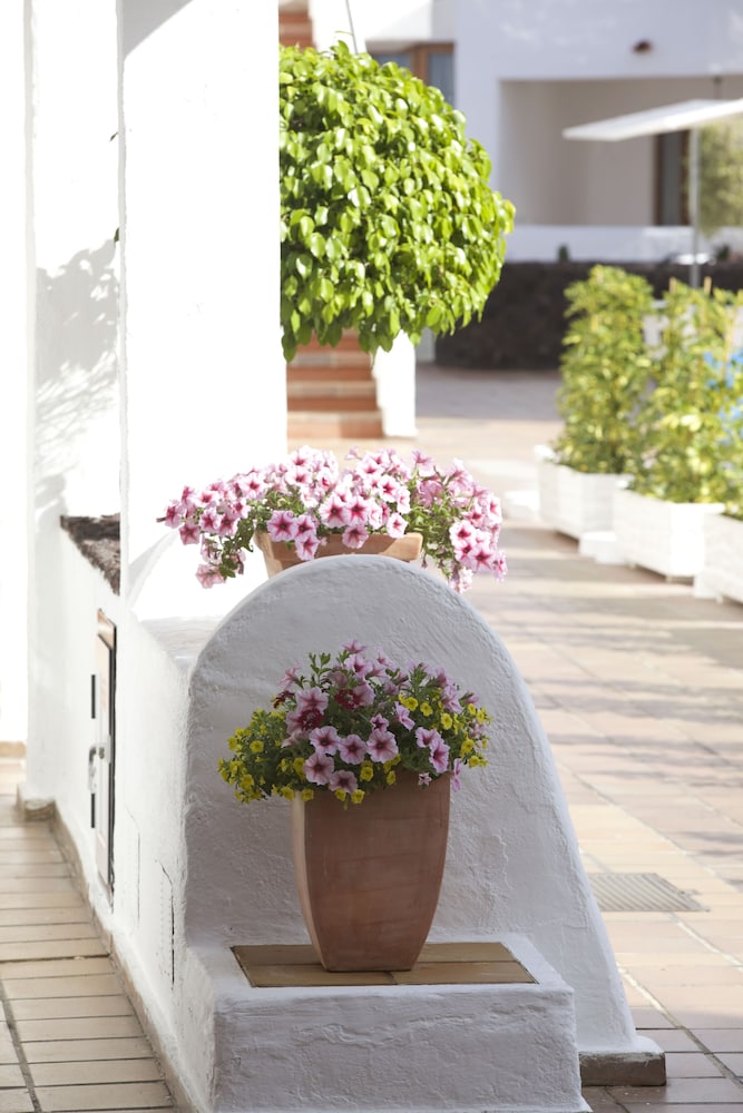 

Venezia - El Palmar - Beverly Hills Suites - Excel Hotels & Resorts