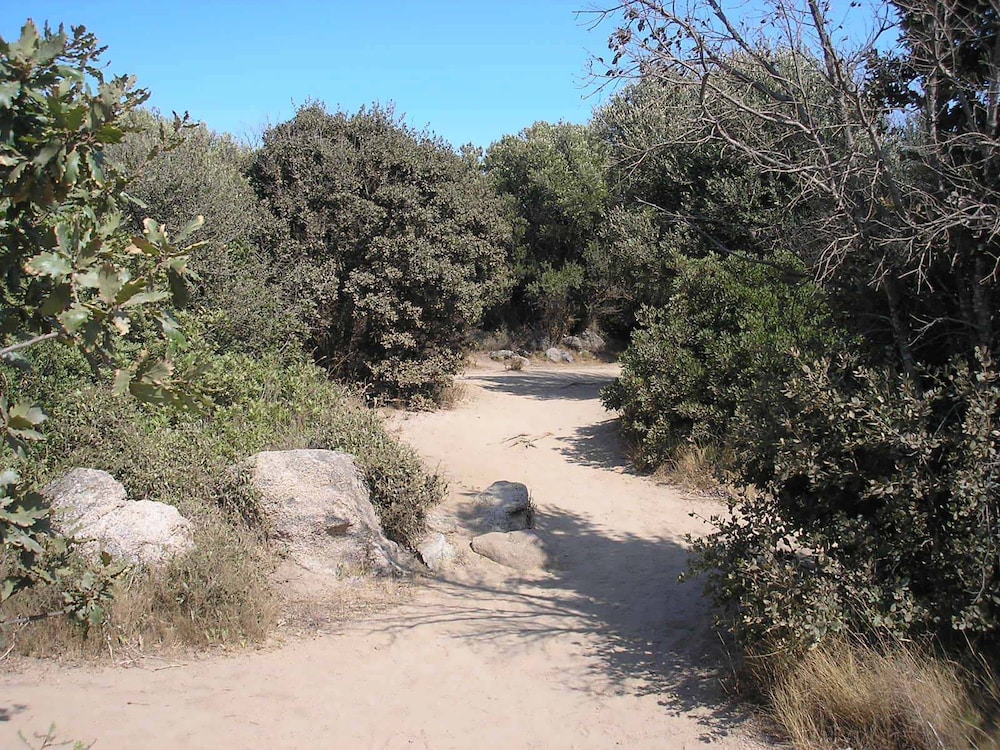 

Pisa - Alghero - Villaggio Camping Nurral