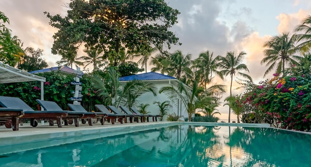 

Bologna - Dongwe - Indigo Beach Zanzibar