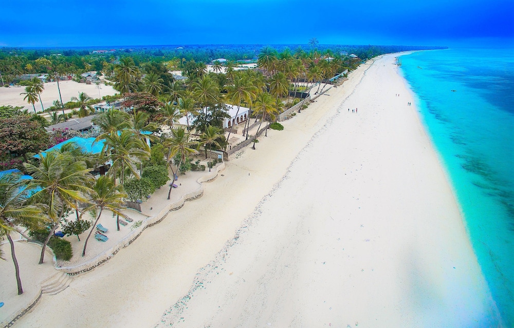 

Roma - Dongwe - Indigo Beach Zanzibar