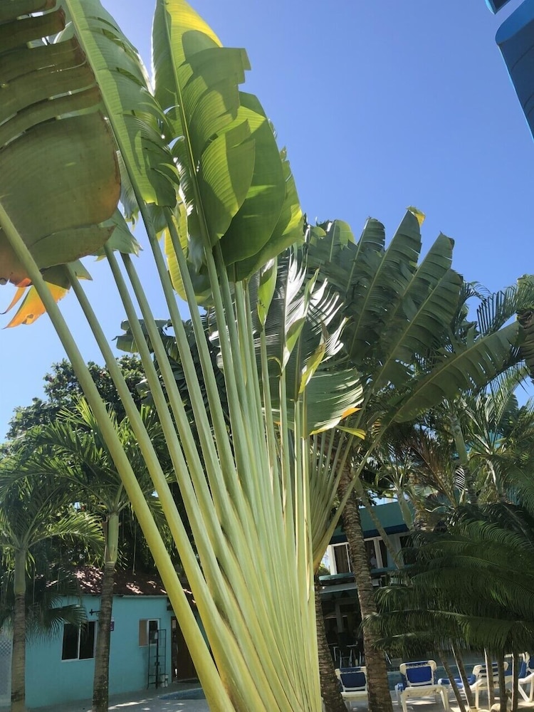 

Torino - Sosua - New Garden Hotel