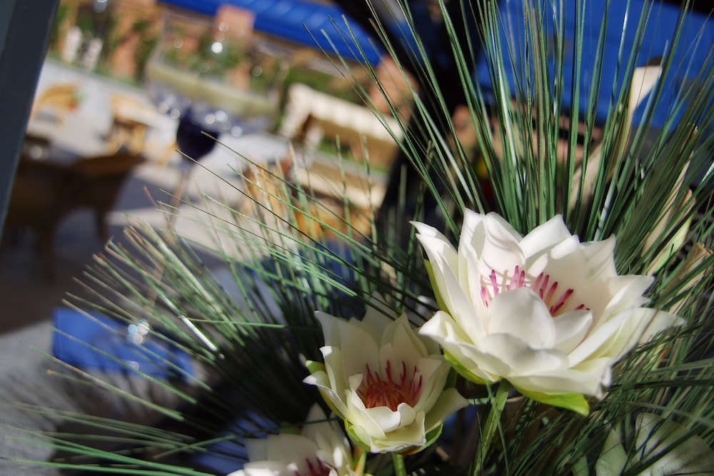 

Bari - Torino - Pacific Hotel Fortino