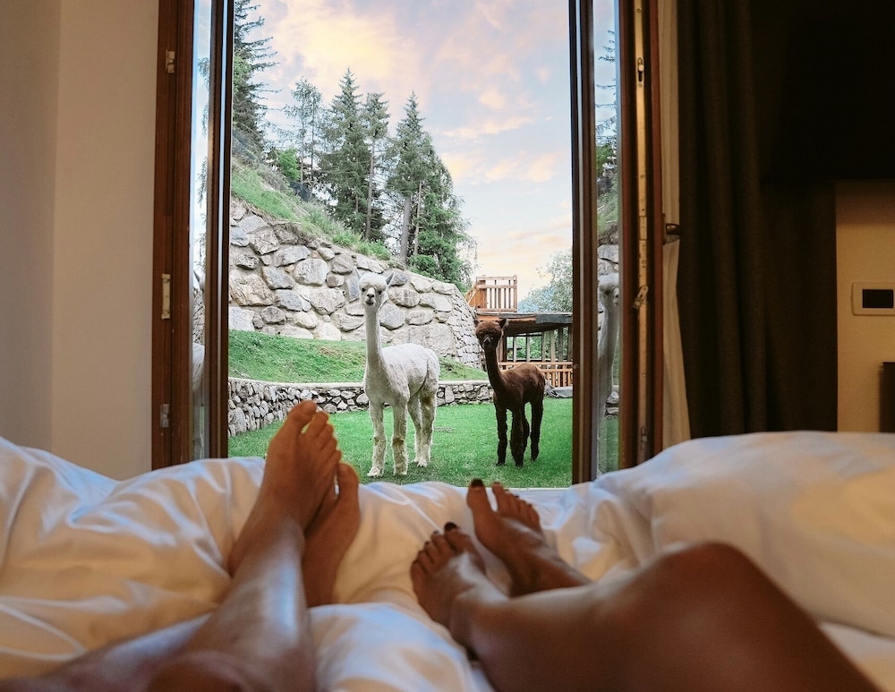 

Napoli - Passo del Tonale - Hotel Chalet Al Foss