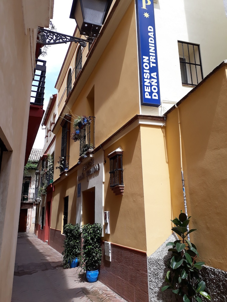 

Bologna - Valencina de la Concepción - Pensión Doña Trinidad