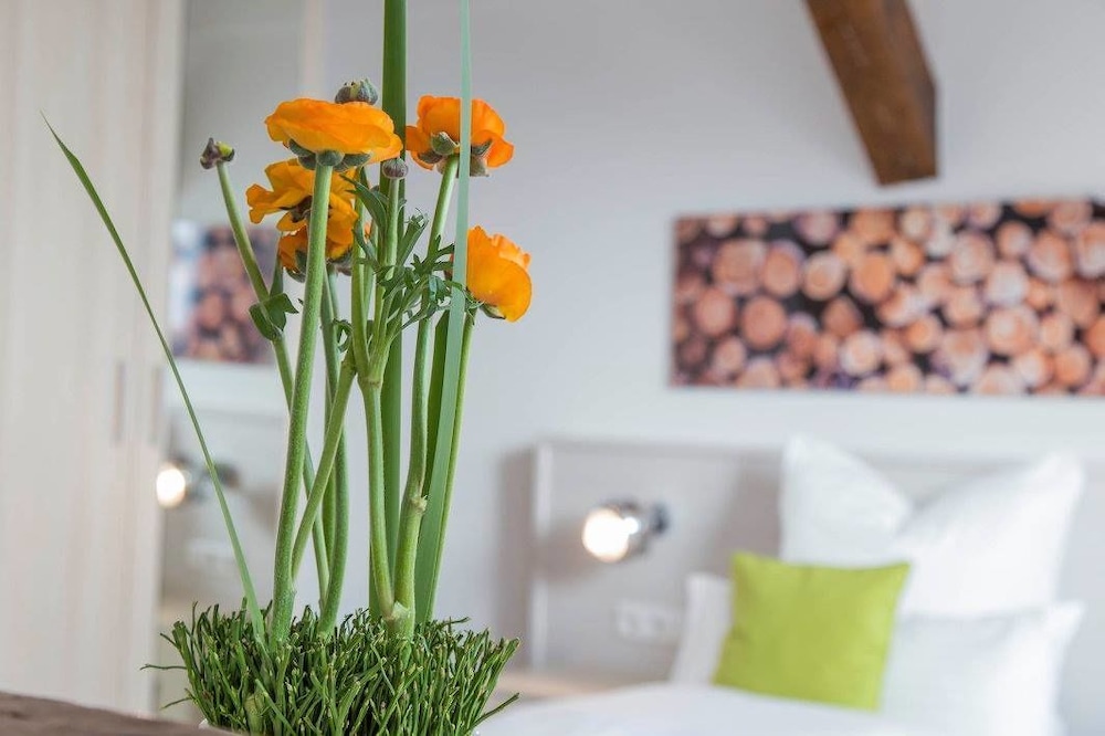 

Roma - Rheinmunster - best business bühl - boardinghouse