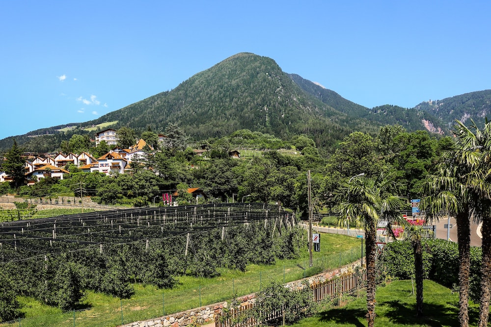 

Roma - Avelengo - Guesthouse Pension Grafenstein