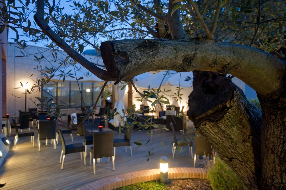 

Venezia - Ponte Galeria - Hotel Roma Aurelia Antica