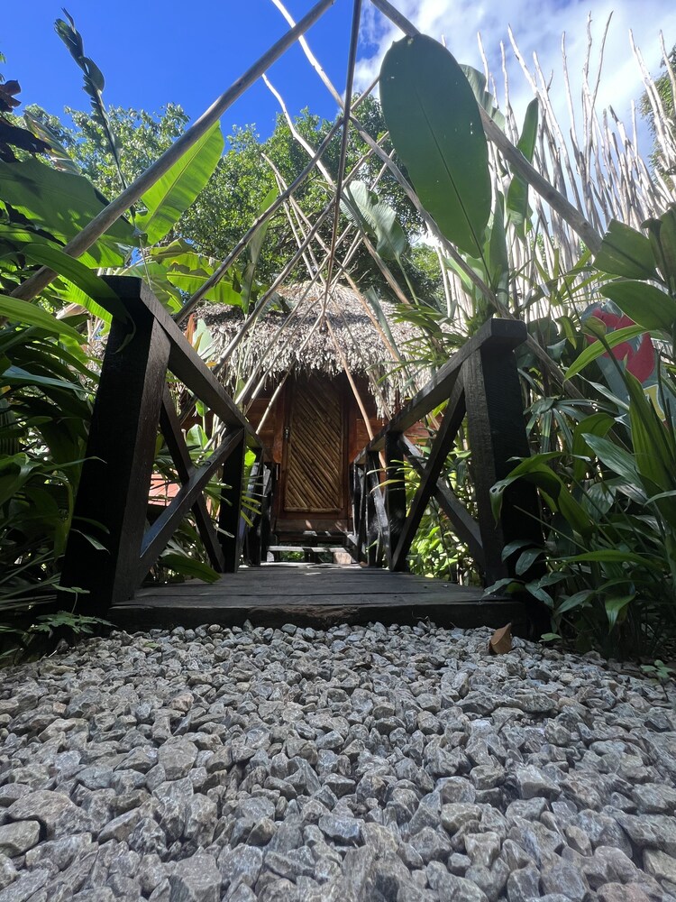 

Milano - Samana - Sámana tropical