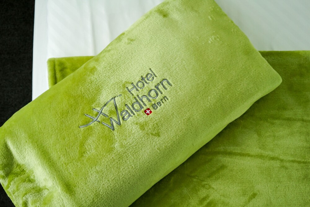

Roma - Berna - Hotel Waldhorn