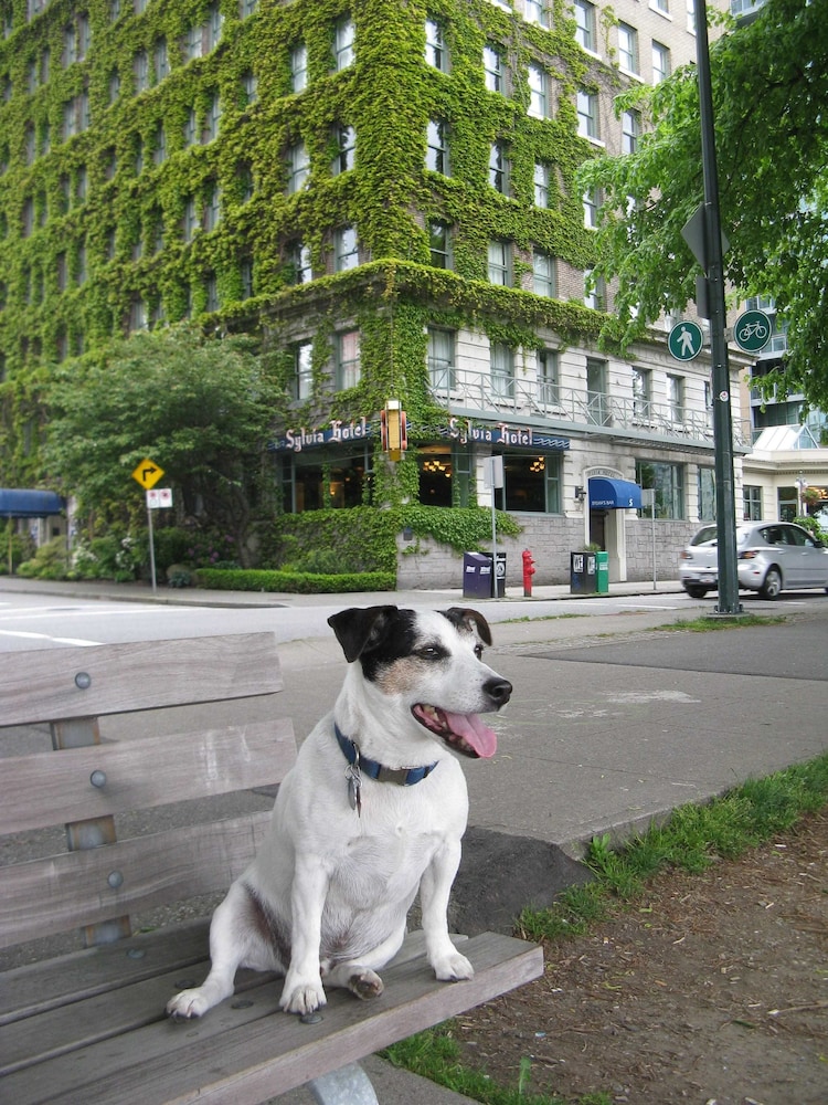 

Roma - Vancouver - Sylvia Hotel