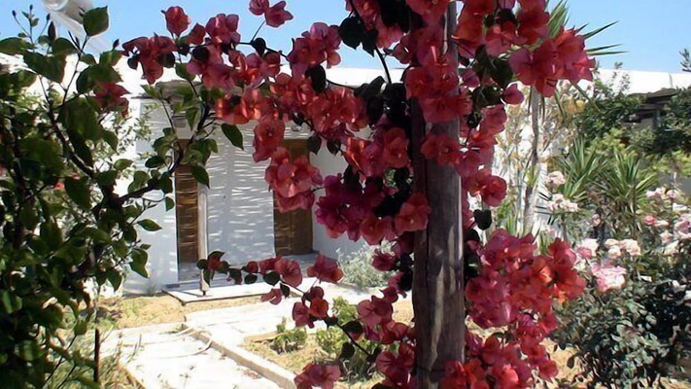 

Venezia - Naousa, Paros - Surfing Beach Village Paros