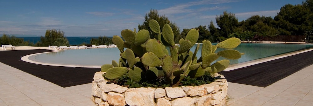 

Milano - Gargano, Mare Italia - Residence Gli Stingi Small Studio
