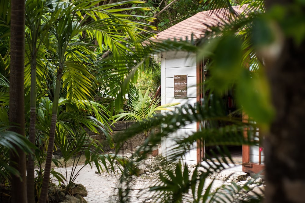 

Milano - Bathsheba - ECO Lifestyle & Lodge