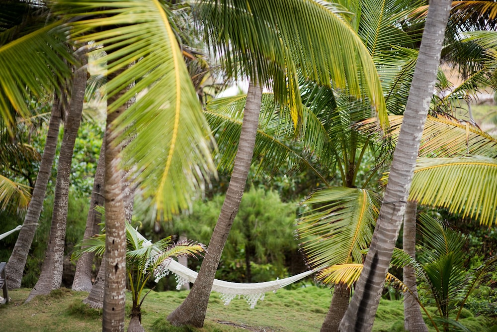

Milano - Bathsheba - ECO Lifestyle & Lodge