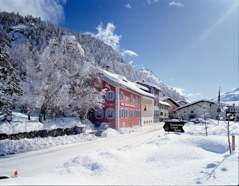 

Roma - St. Moritz, Montagna Svizzera - Hotel Steinbock Pontresina