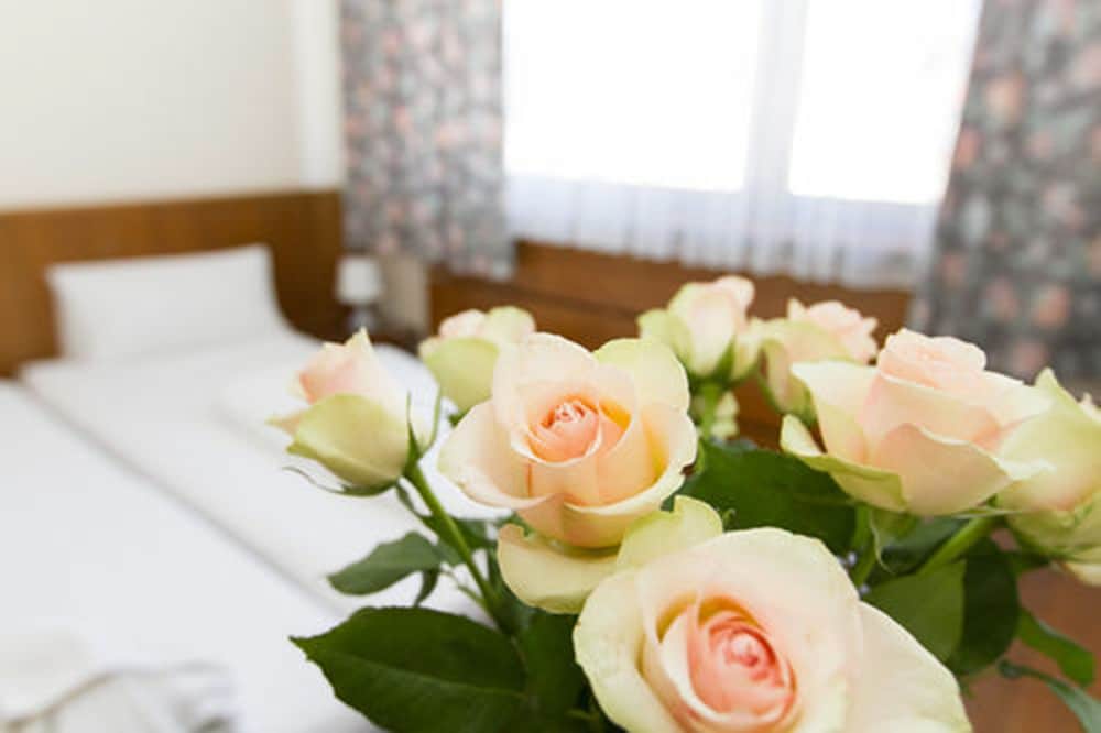 

Roma - Berlin-Tegel - Hotel Spreewitz am Kurfürstendamm