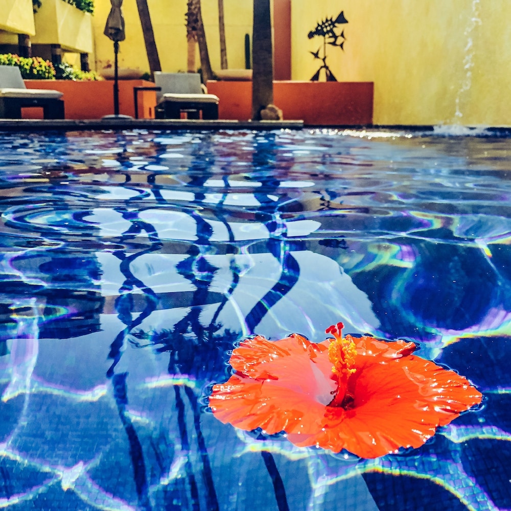 

Milano - San José del Cabo - Casa Natalia Boutique Hotel Adults Only