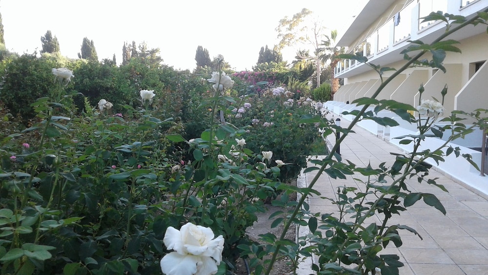 

Bari - Polis - Natura Beach Hotel and Villas