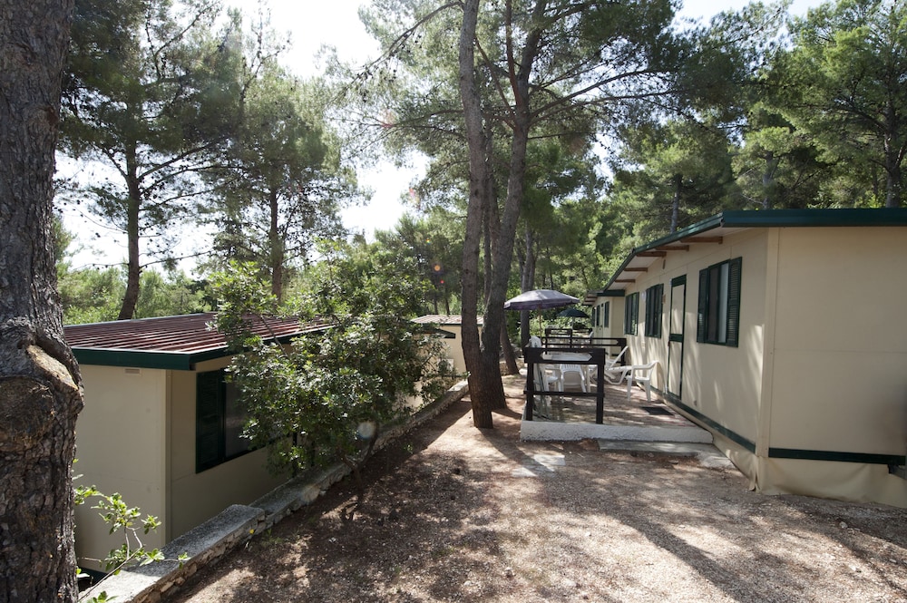 

Torino - Gargano, Mare Italia - Villaggio Punta Lunga Camping