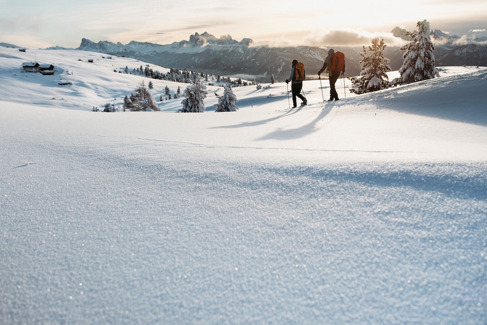 

Milano - Alpe di Siusi - Sonnenhotel Adler Spa & Nature Adults only