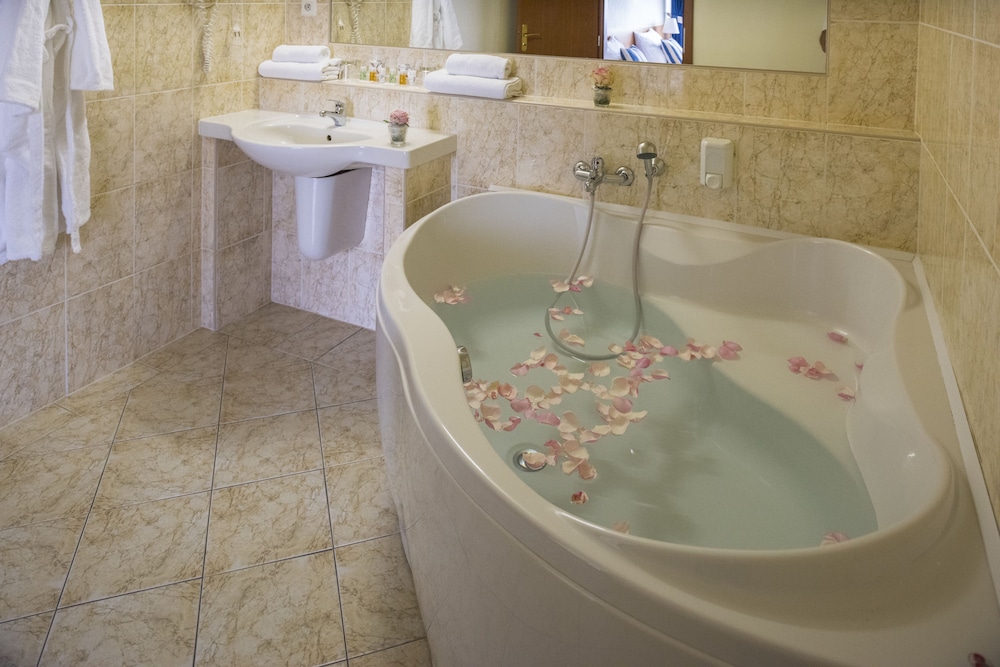 

Trieste - Praga - TOP HOTEL Praha
