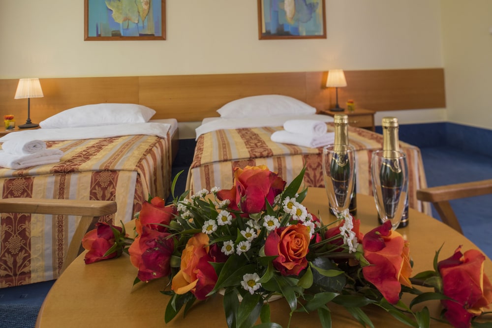 

Trieste - Praga - TOP HOTEL Praha