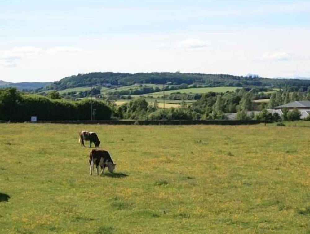 

Napoli - Stirling - Hillhead Farm Lets