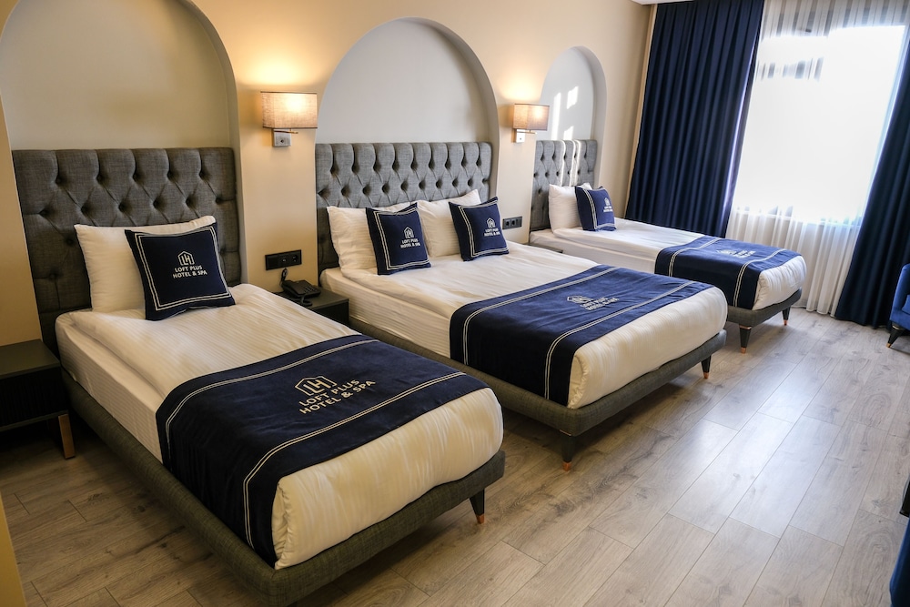 

Roma - Istanbul, New Airport - Loft Plus Hotel's