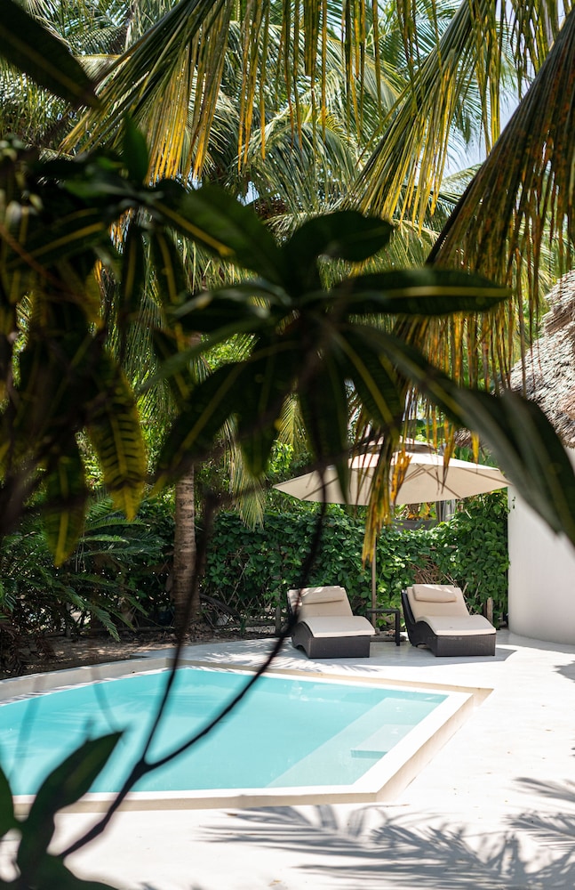 

Roma - Makunduchi - Blue Moon Resort