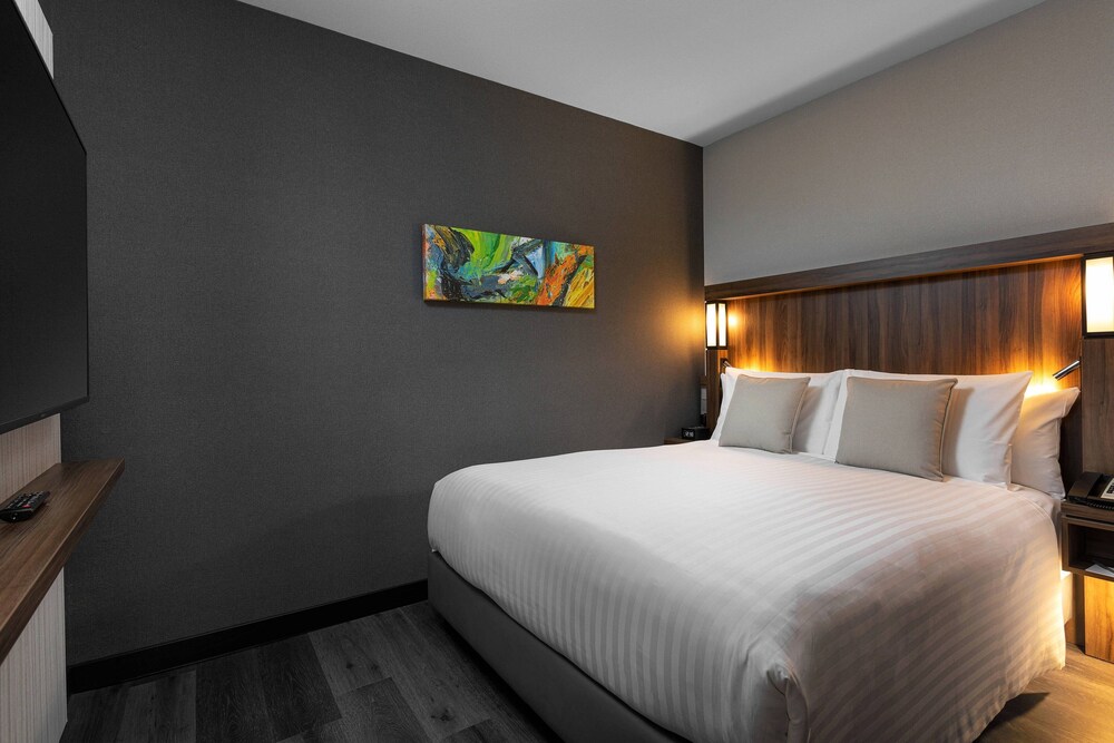 

Milano - Haarlem - Courtyard by Marriott Amsterdam Airport