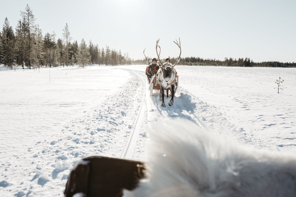 

Lamezia Terme - Saariselka - Lapland Hotels Riekonlinna