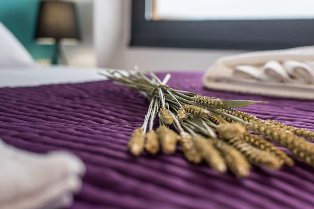 

Torino - Creta Ovest - Chania, Grecia - Lavender Villas Chania