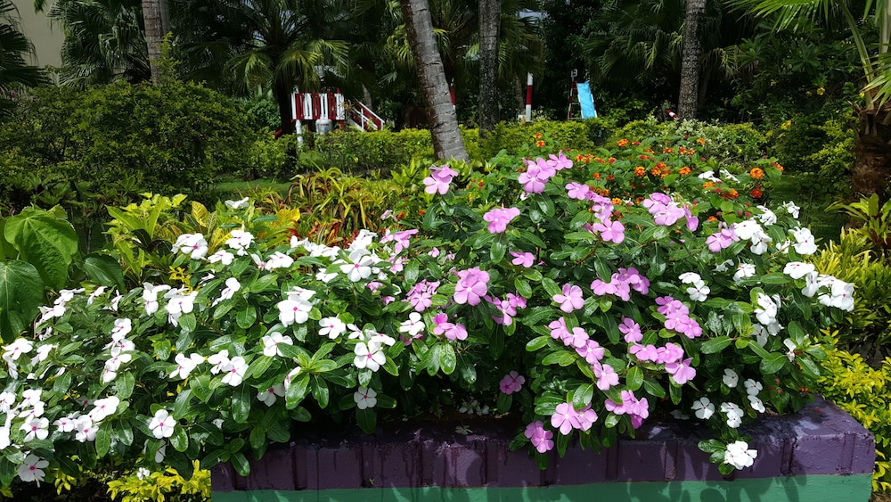 

Roma - Nadi - Grand West's Villas