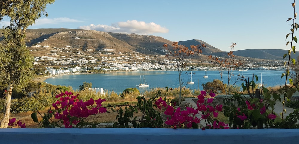 

Bologna - Naousa, Paros - Paros Paradise Apartments