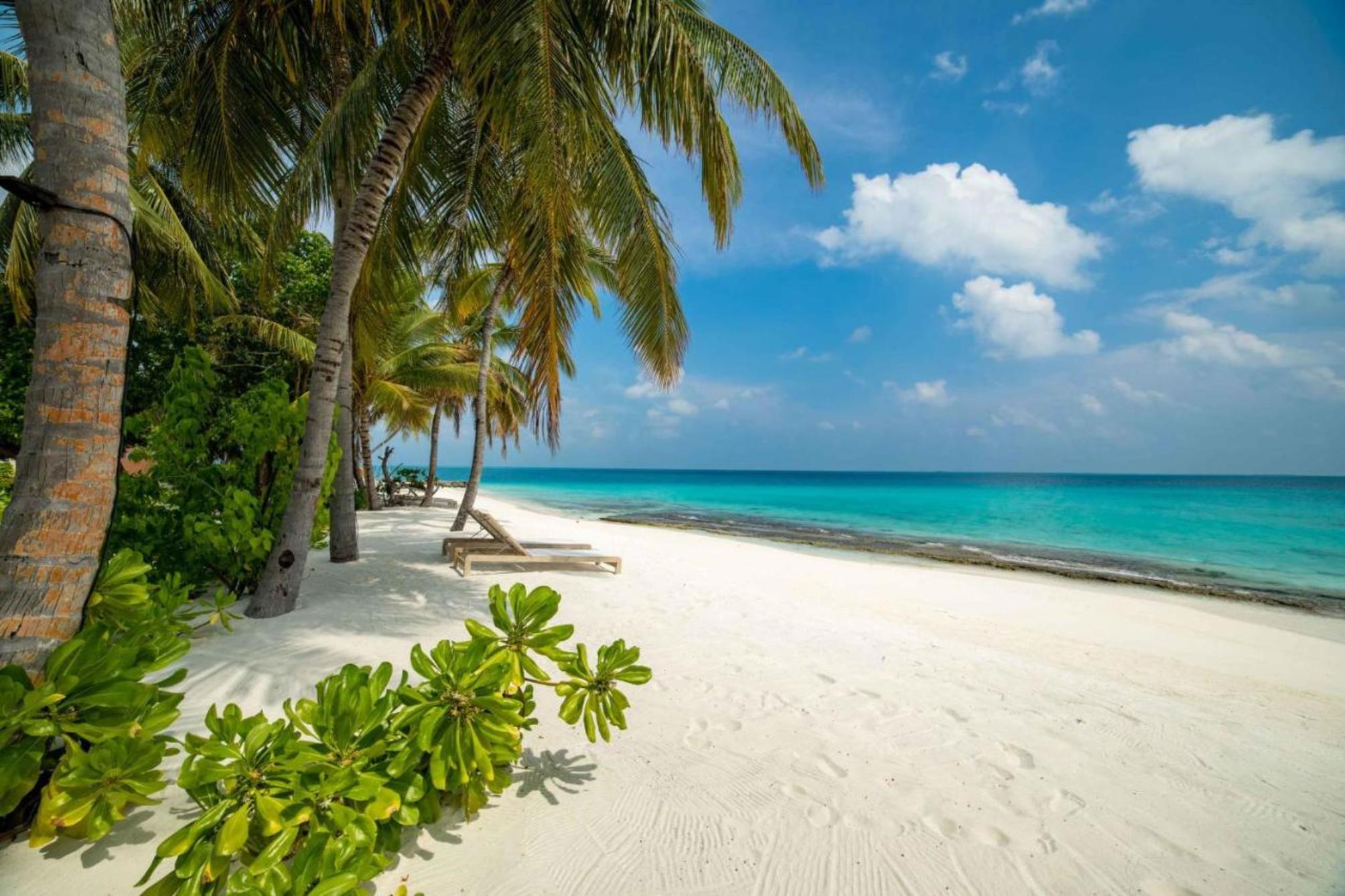 

Verona - Mandhoo - Fiyavalhu Resort Maldives