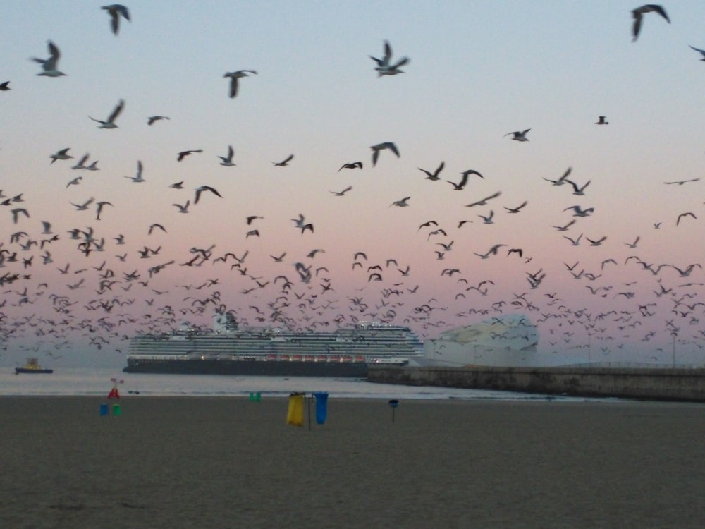 

Catania - Porto - Hotel Amadeos - Matosinhos - Porto