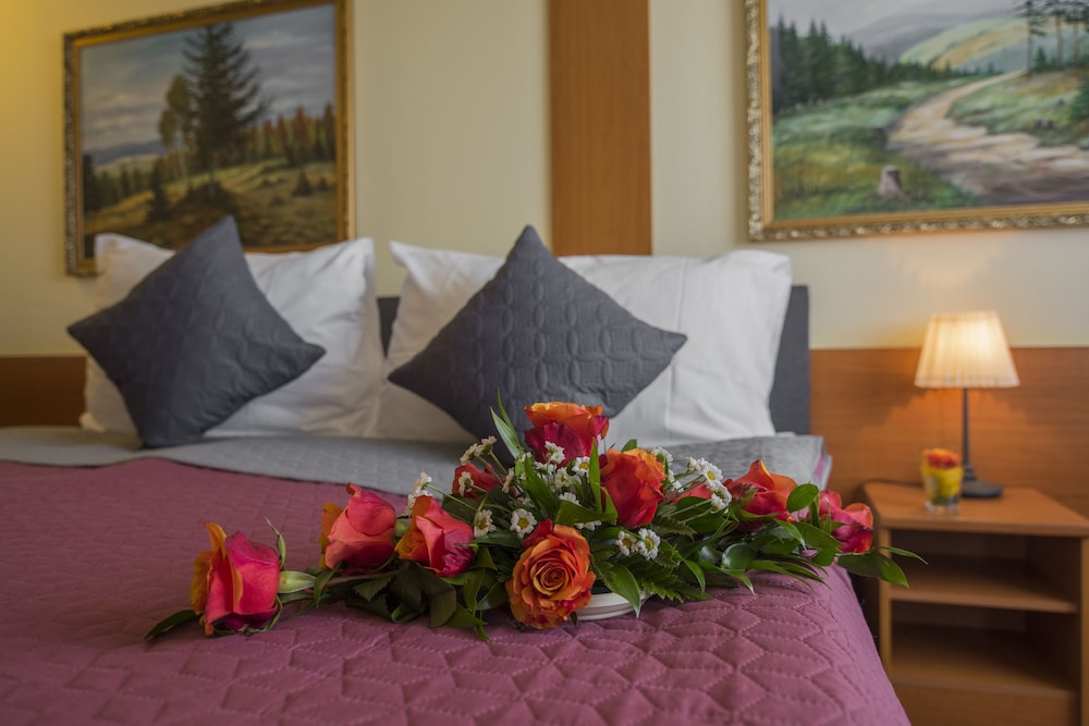 

Ancona - Praga - TOP HOTEL Praha