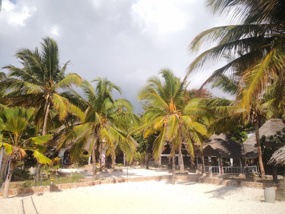 

Roma - Pwani Mchangani - Mambo Ocean Resort